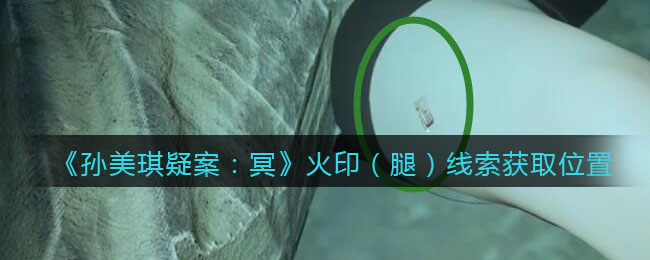 《孙美琪疑案：冥》四级线索——火印（腿）