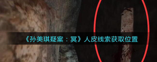 《孙美琪疑案：冥》四级线索——人皮