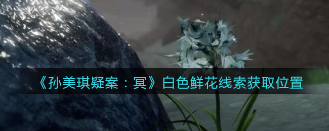 《孙美琪疑案：冥》五级线索——白色鲜花