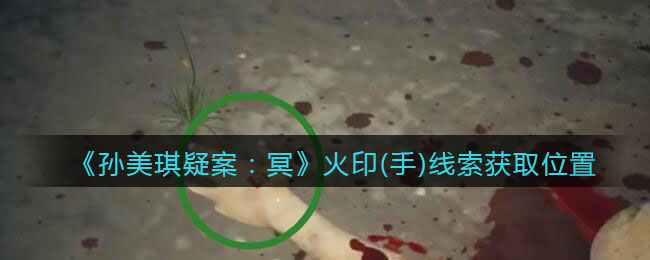 《孙美琪疑案：冥》四级线索——火印（手）
