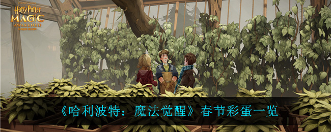 《哈利波特：魔法觉醒》春节彩蛋一览